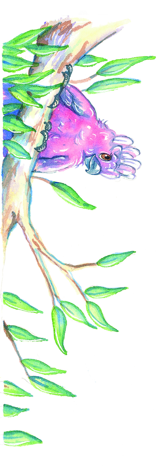 Bookmarks - Image 2
